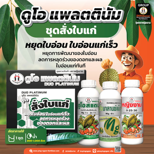 ดูโอ เเพลตตินัม ชุดสั่งใบแก่ บรรจุ 3 ขวด