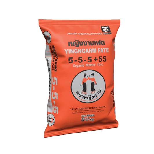 หญิงงามเฟต สูตร 5-5-5+5S 50 kg.
