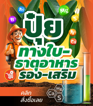 ปุ๋ยทางใบ-ธาตุอาหารรอง-เสริม