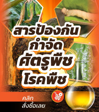 สารป้องกันกำจัด ศัตรูพืช โรคพืช