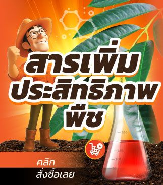 สารเพิ่มประสิทธิภาพพืช
