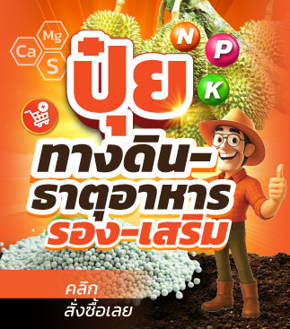ปุ๋ยทางดิน-ธาตุอาหารรองเสริม