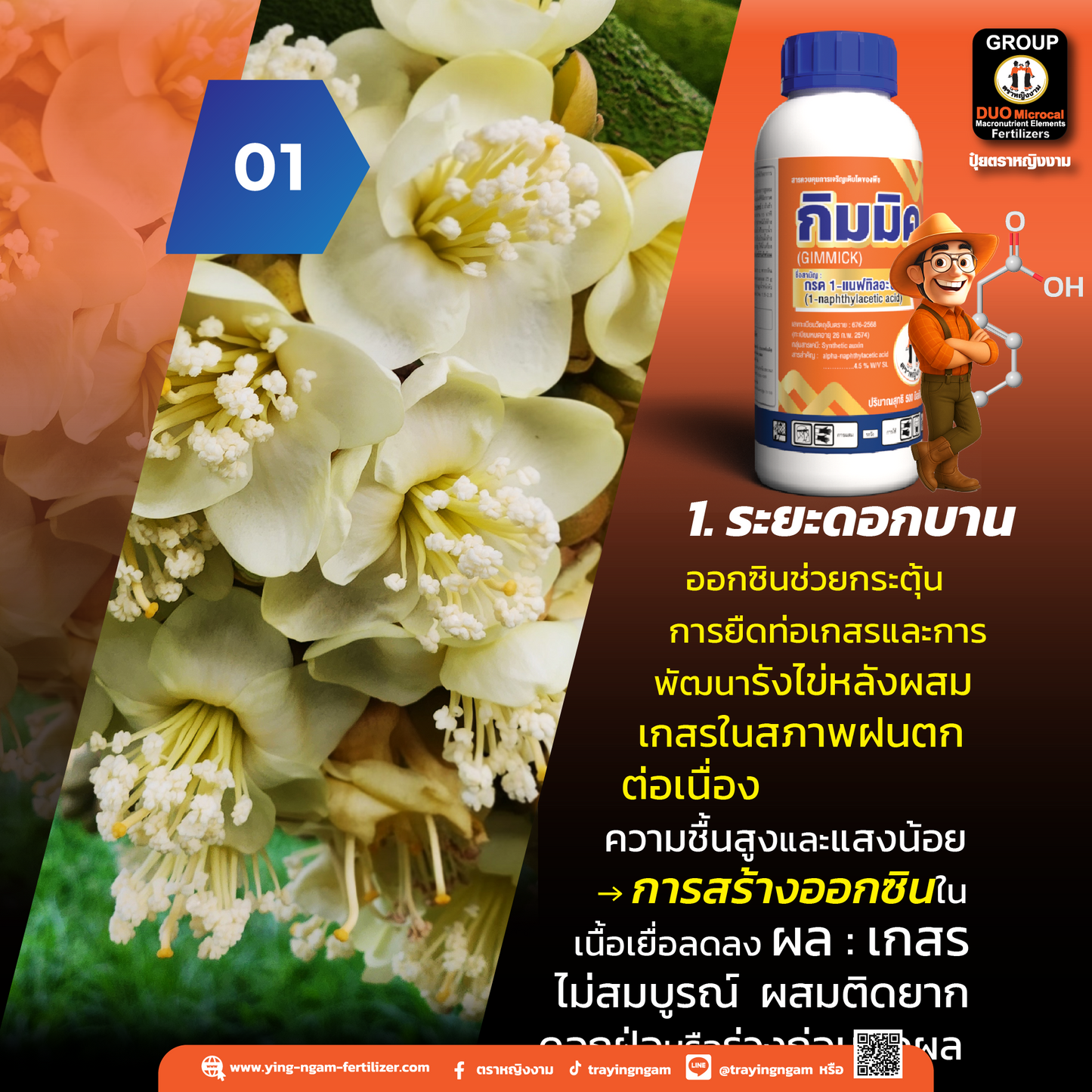 กิมมิค 500 ซีซี