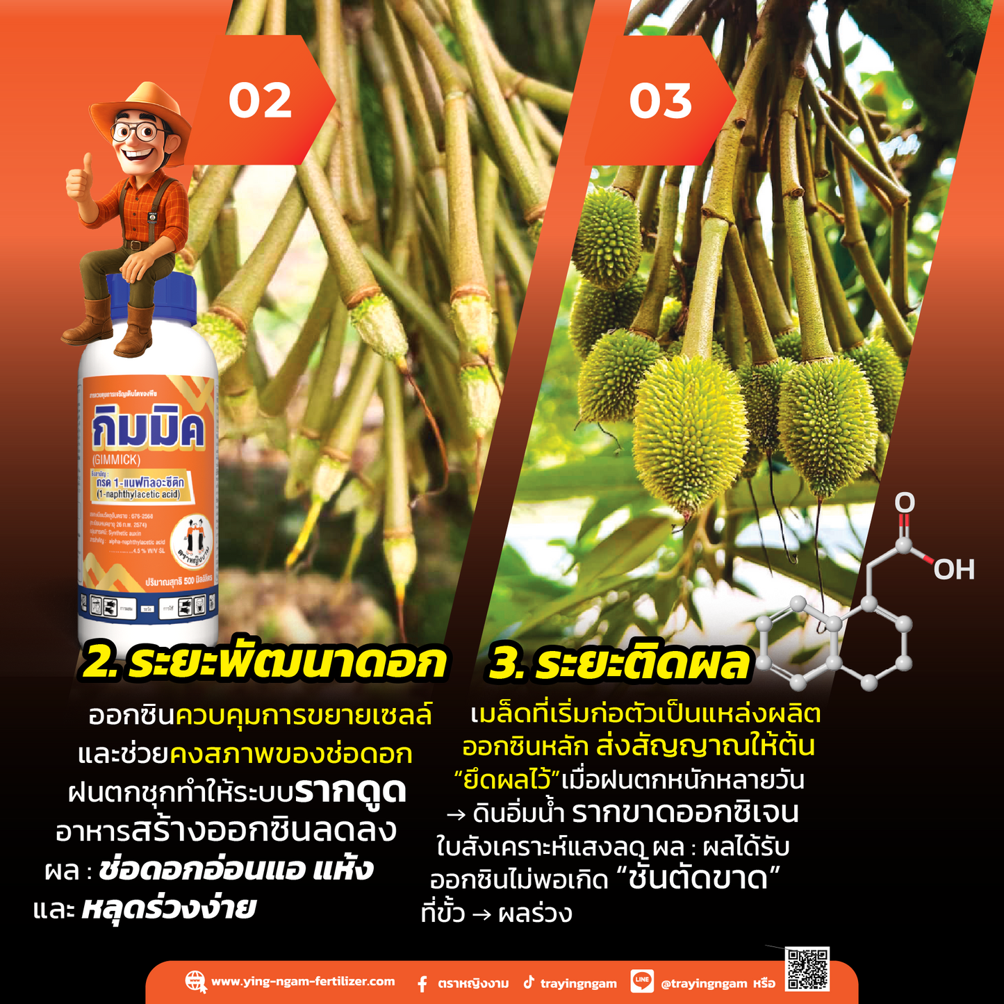 กิมมิค 500 ซีซี