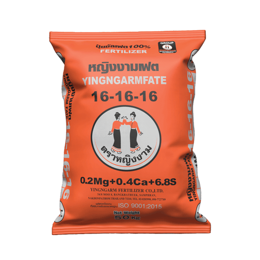 หญิงงามเฟต 16-16-16 (ซัลเฟต 100%) 50 kg.