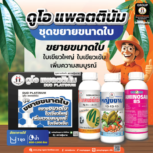 ดูโอ เเพลตตินัม ชุดขยายขนาดใบ บรรจุ 3 ขวด