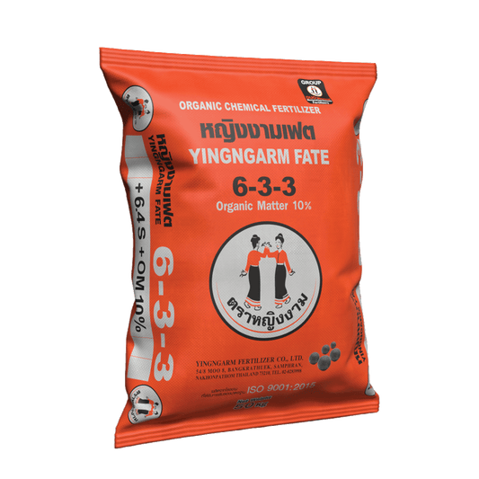 หญิงงามเฟต 6-3-3 +S6.4%+OM 10% 50 kg.