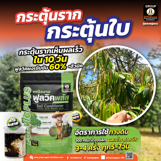 หญิงงาม ฟลูวิคพลัส 1 kg.