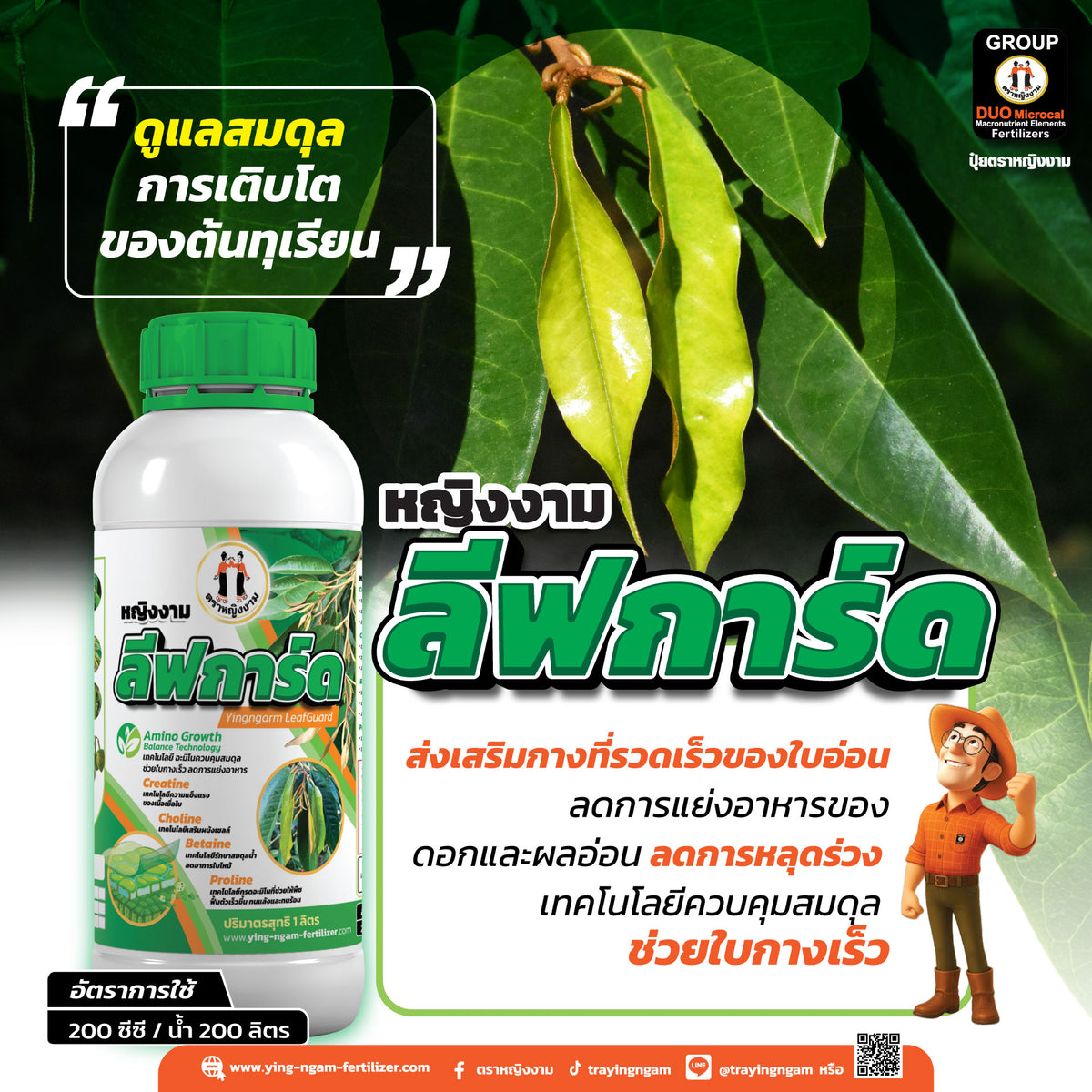 หญิงงามลีฟการ์ด  1 ลิตร