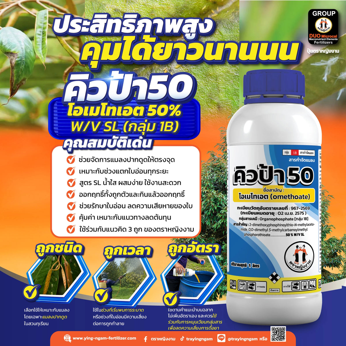 คิวป้า 50 1 ลิตร