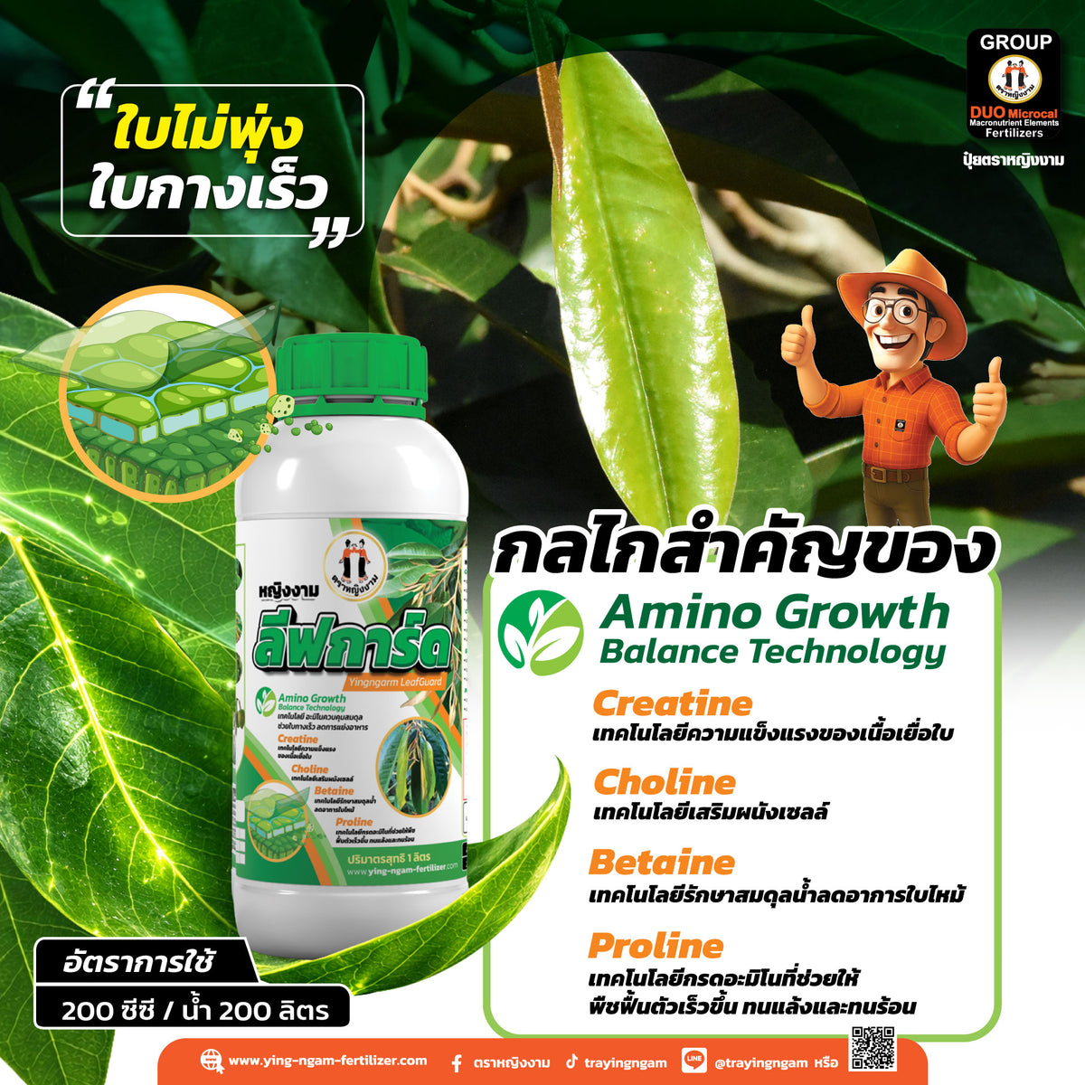 หญิงงามลีฟการ์ด  1 ลิตร