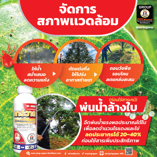คาร์วาล 1 ลิตร